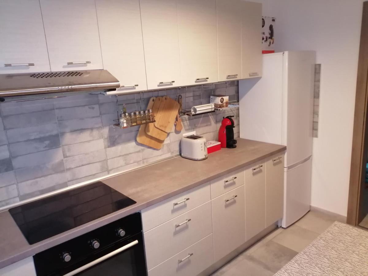 Maurer Loft Apartment Targu Mures Ngoại thất bức ảnh