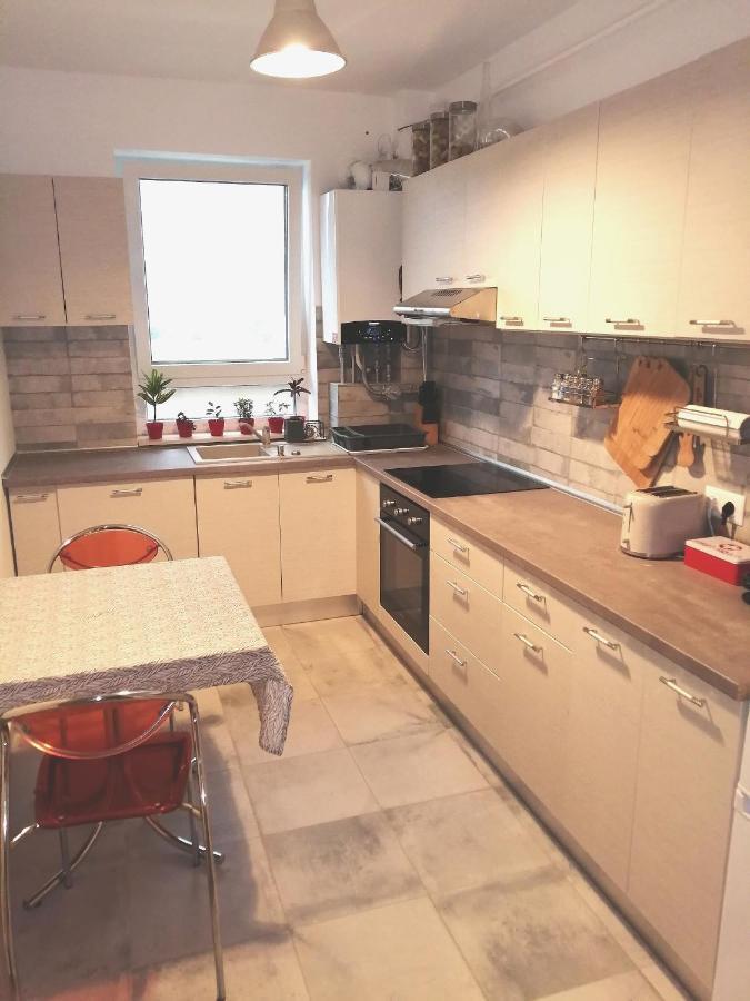 Maurer Loft Apartment Targu Mures Ngoại thất bức ảnh